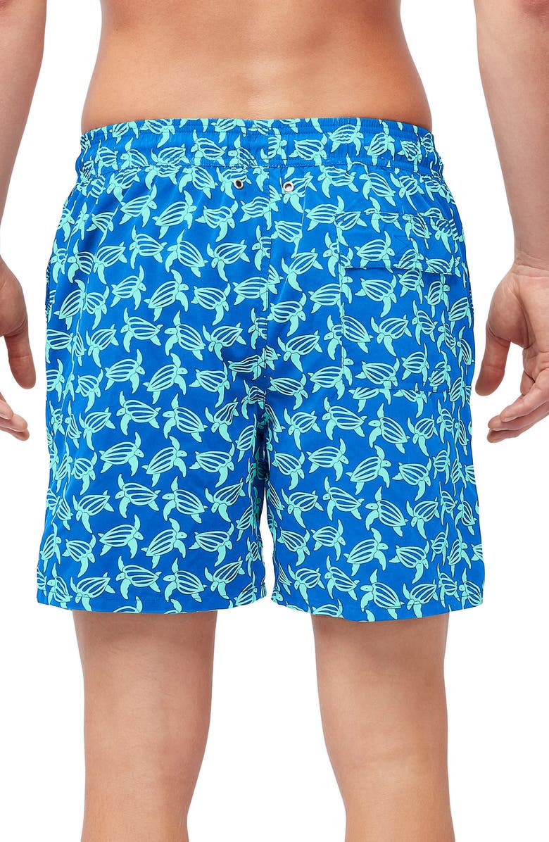 Tom & Teddy Turtle Print Swim Trunks, Alternate, color, Blue And Ice Green