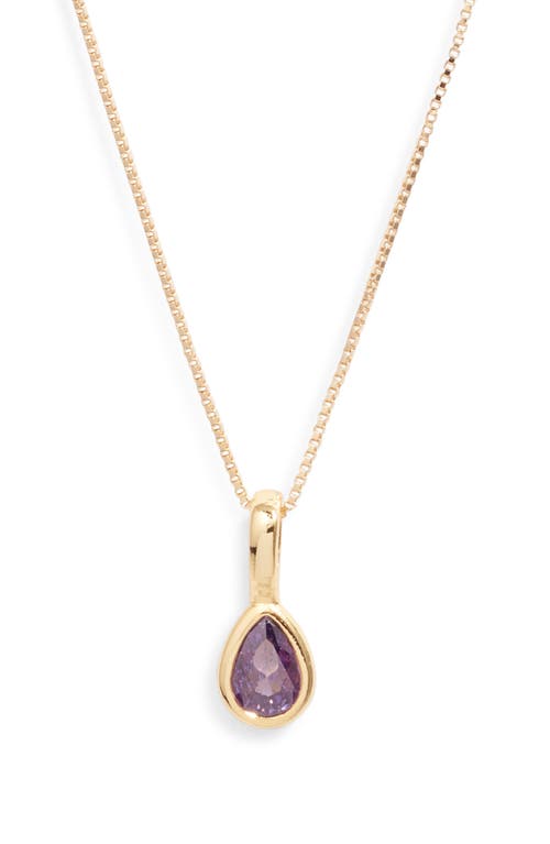 Set & Stones Teardrop Birthstone Pendant Necklace In Gold/february