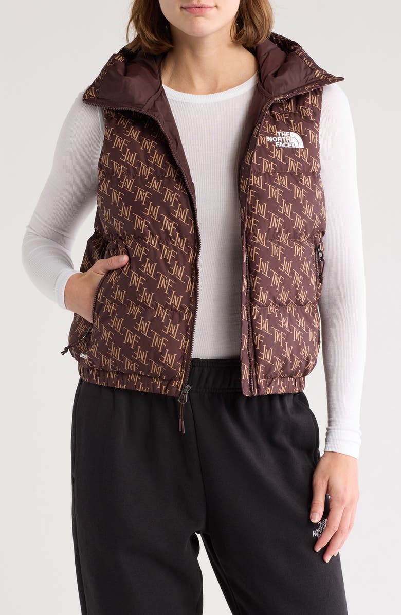 The North Face Hydrenalite<sup>™</sup> Water Repellent 600 Fill Power Down Vest, Main, color,