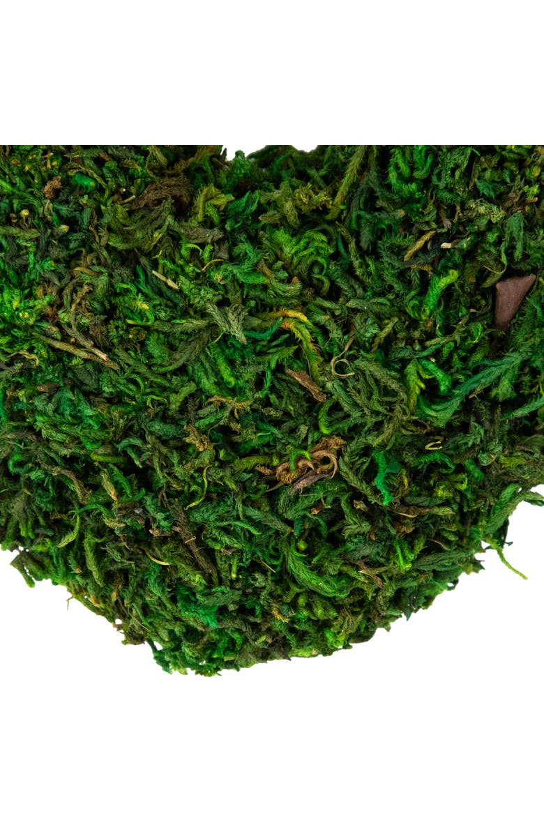 Northlight Reindeer Moss and Twig Artificial Heart Wreath - 13.5", Alternate, color, Green