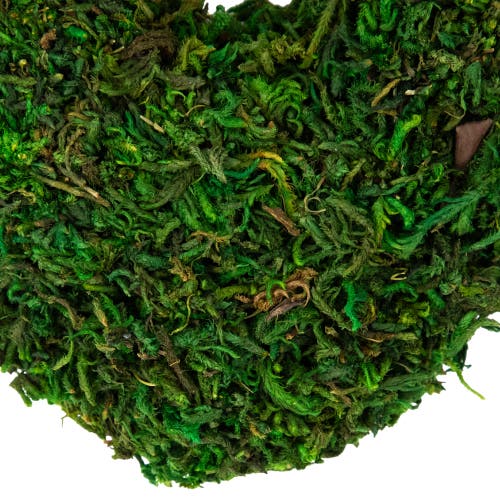 Northlight 13.5" Green Reindeer Moss Heart Twig Artificial Wreath In Green
