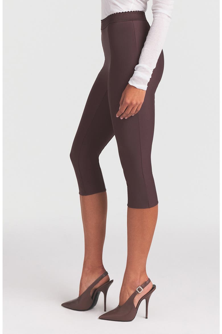 High Waist Capri Pants, Alternate, color, RAISIN
