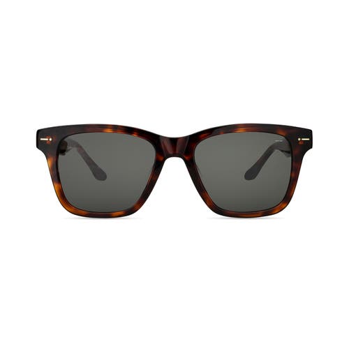 Italia Independent Accelerazione Sunglasses in Havana  product