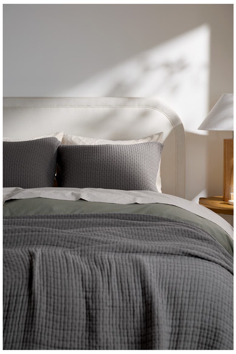 Air Organic Cotton Sham Set (Nordstrom Exclusive), Alternate, color, PEBBLE