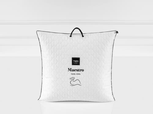 Togas Maestro Camel Wool Pillow In White