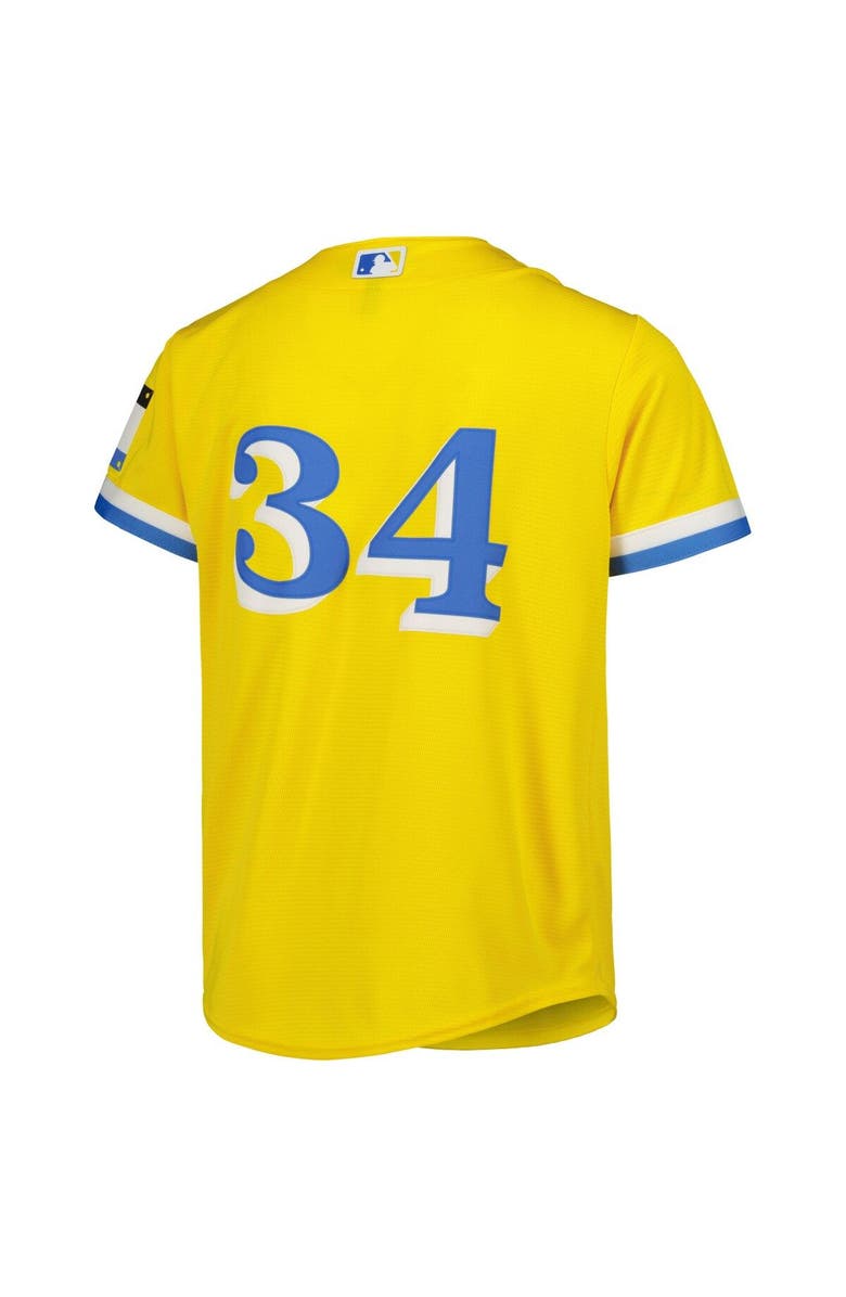 Nike Youth Nike David Ortiz Gold Boston Red Sox City Connect Replica Player Jersey, Alternate, color, Gold