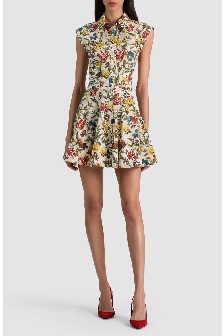 Kim Floral Paneled Minidress, Main, color, DESERT SPRIGS VANILLA