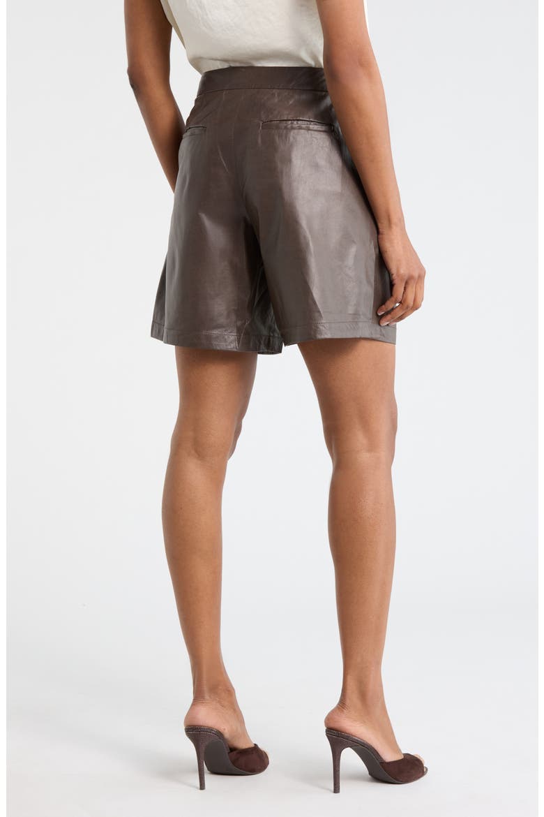 Sully Leather Shorts, Alternate, color, FUDGE