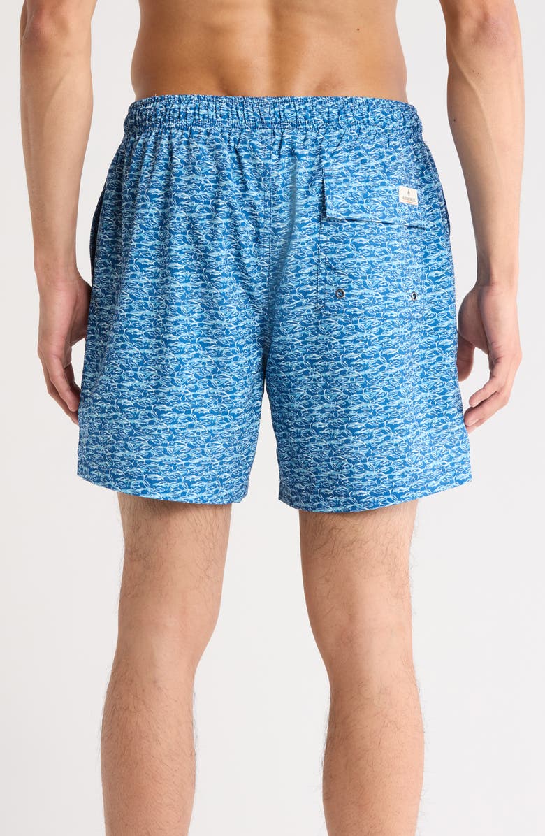 Rainforest School Of Fish Swim Trunks, Alternate, color,