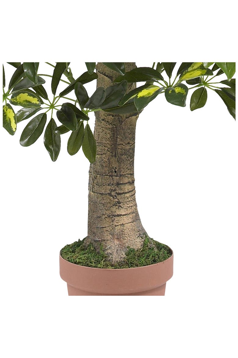 Schefflera Silk 4ft. Tree, Alternate, color, GREEN