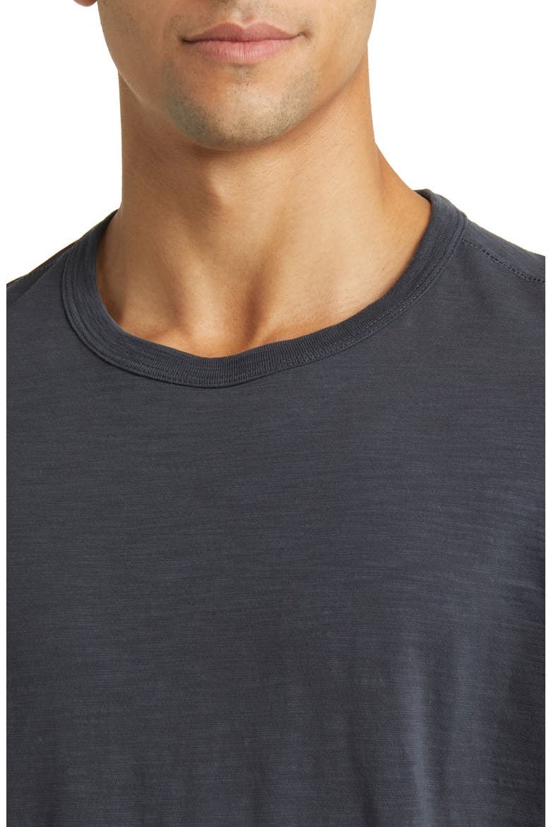 Slub Cotton Crewneck T-Shirt, Alternate, color, BLUEBERRY