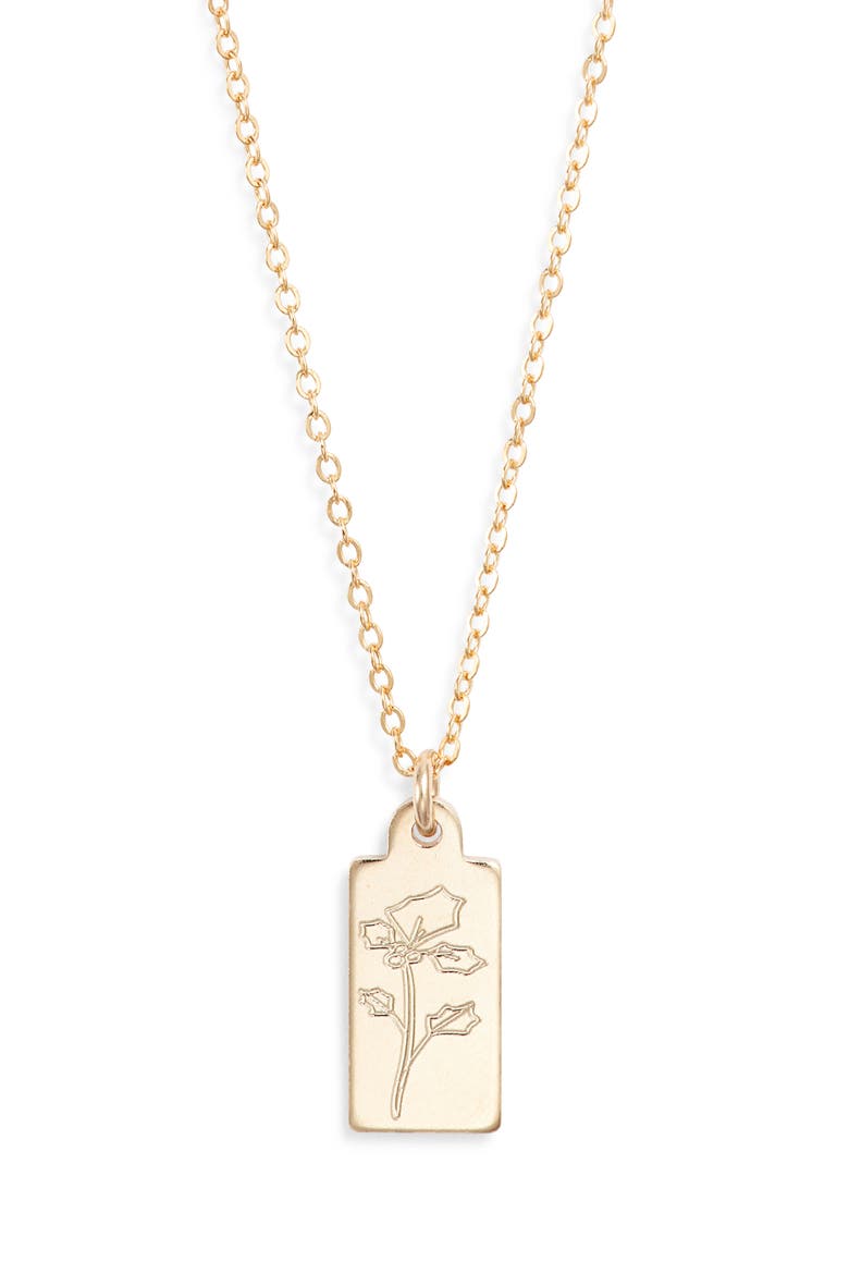 Tawney Birth Flower Pendant Necklace, Main, color, GOLD / DECEMBER