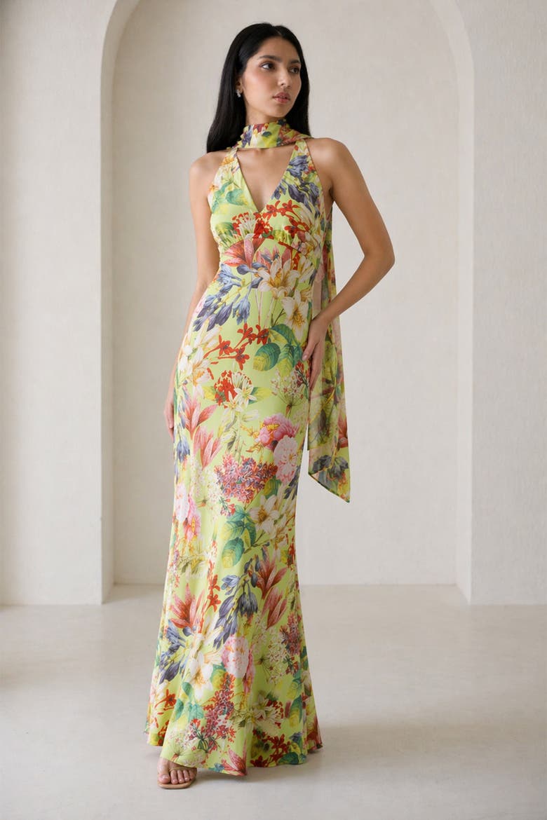 Catalina Silky Gown In Eden Tapestry, Alternate, color, Eden Tapestry