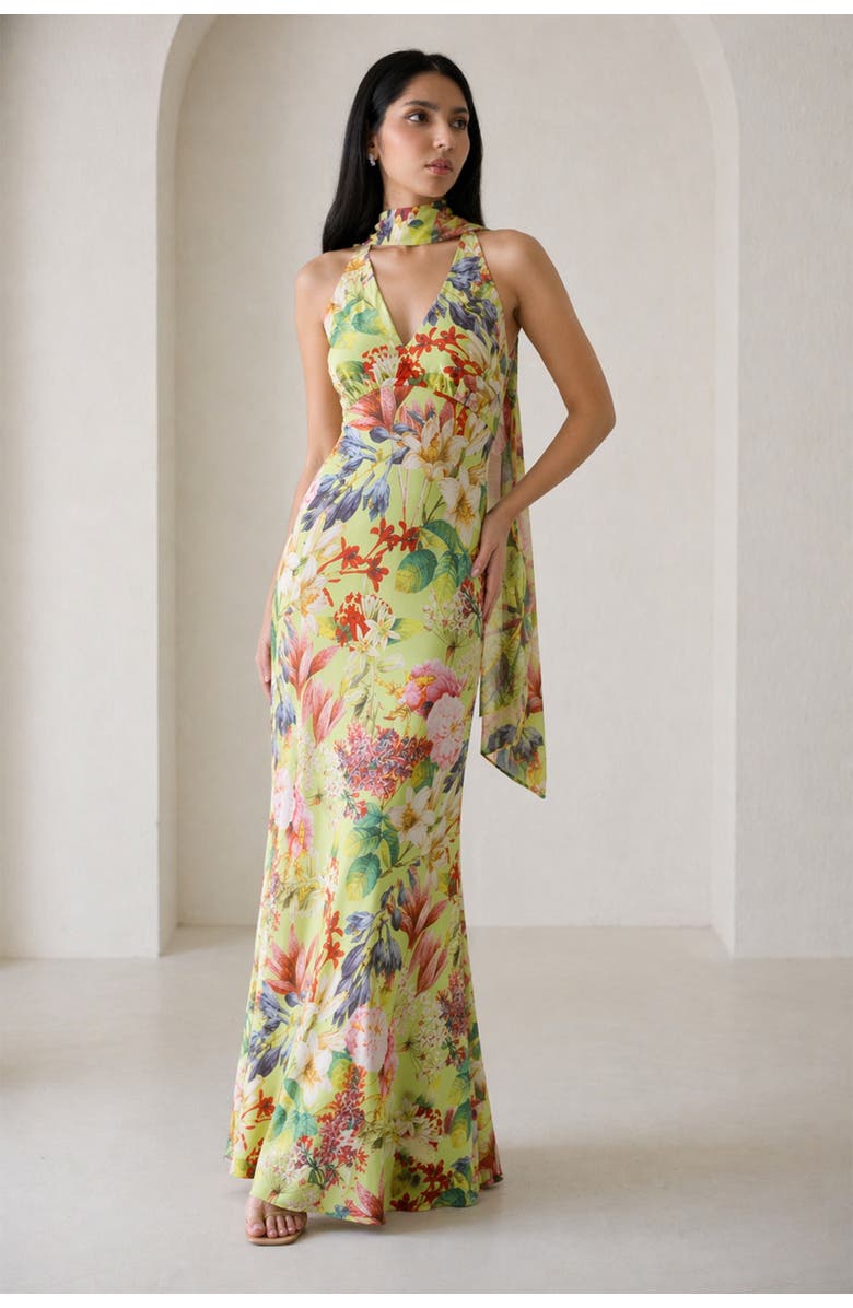 Vasiliki Catalina Silky Gown In Eden Tapestry, Alternate, color, Eden Tapestry