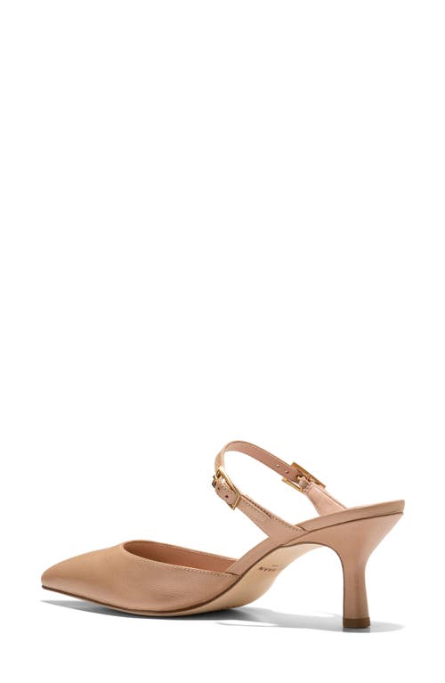 Shop Cole Haan Annalise Pointed Toe Mule