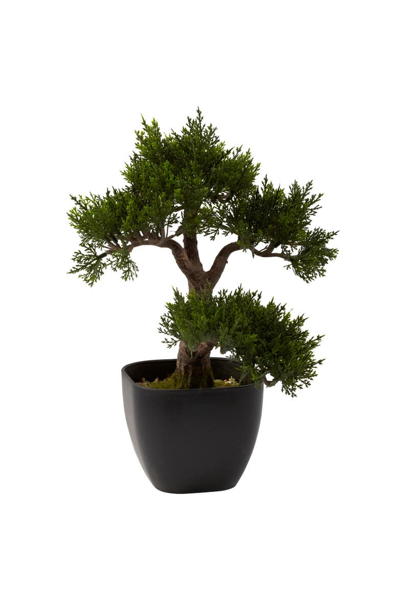 15-in Cedar Bonsai, Main, color, Green