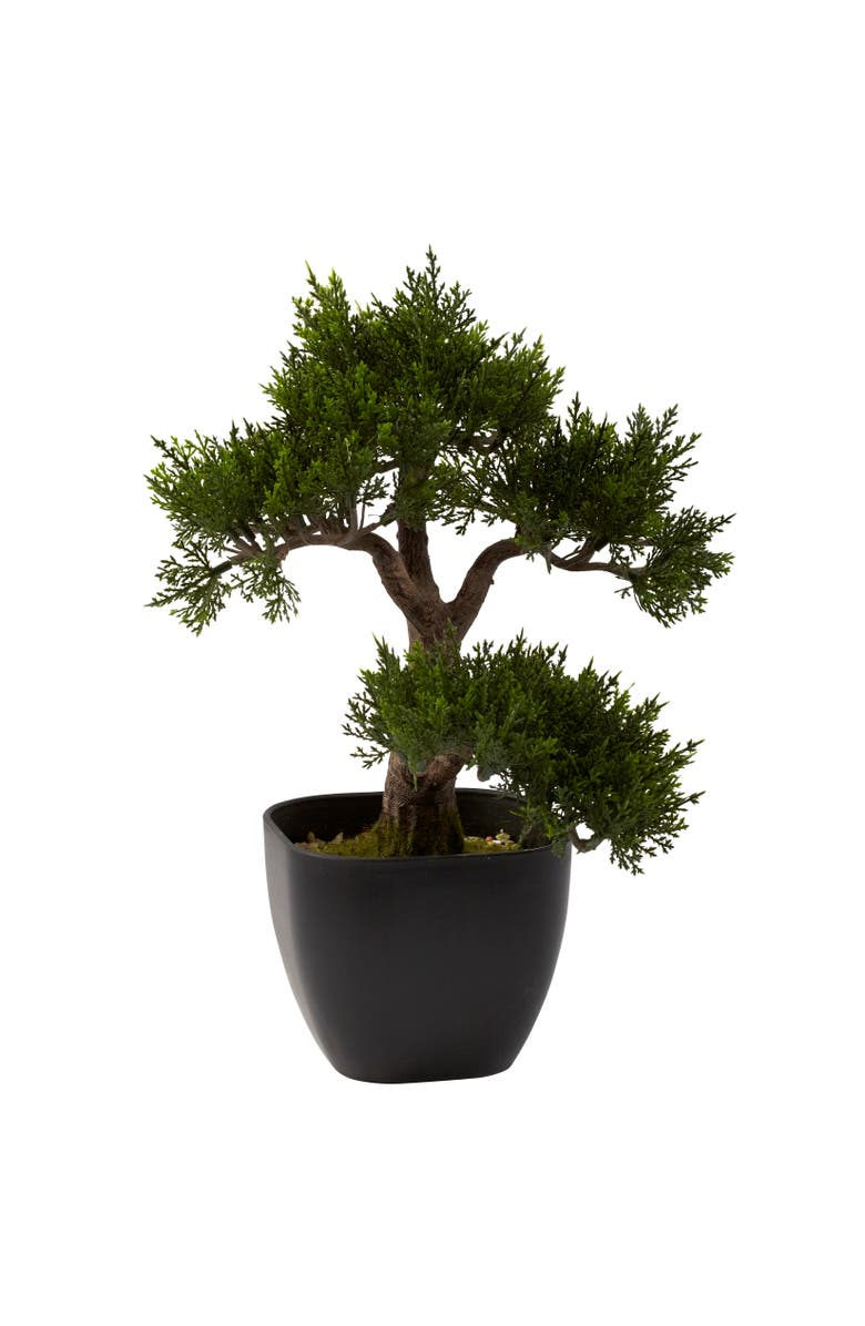 NEARLY NATURAL 15-in Cedar Bonsai, Main, color, Green