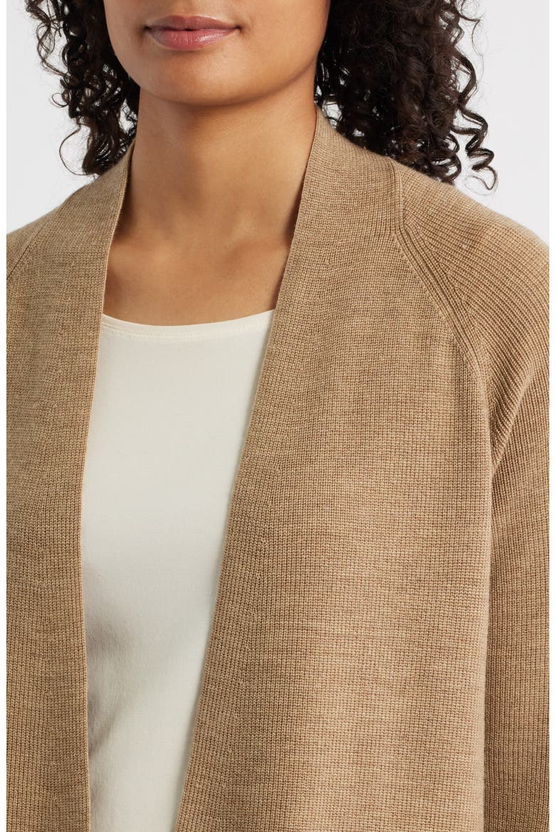 Raglan Sleeve Wool Cardigan, Alternate, color, BISCUIT