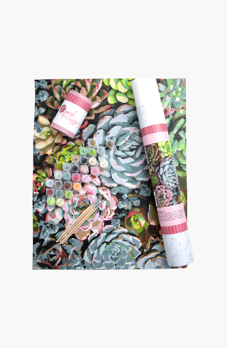 Pink Picasso Kits Sensitive Succulents Paint by Numbers Kit, Main, color, Greens / Pinks