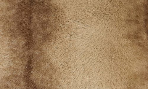 Apparis Brenn Pluche™ Faux Mink Accent Pillow In Neutral