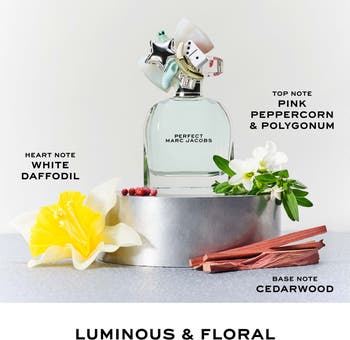 Perfect Fragrance Travel Set $108 Value