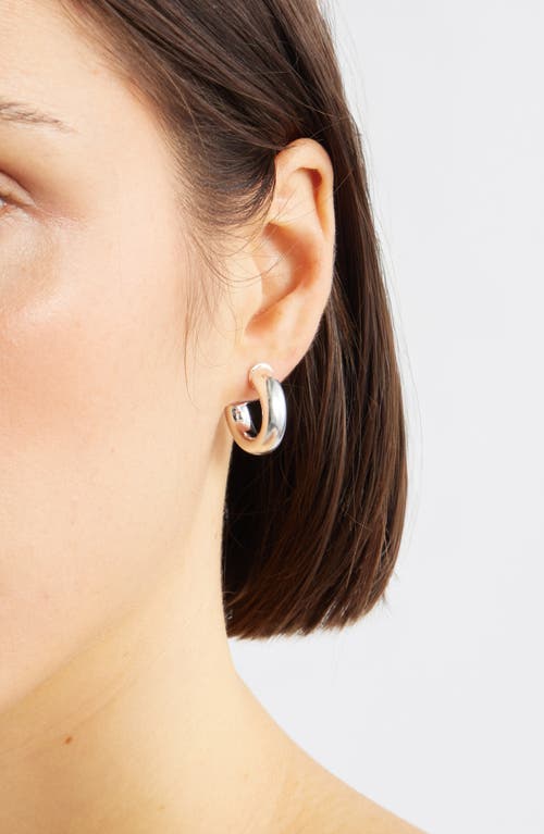 Child Of Wild Cleo Hoop Earrings In Metallic