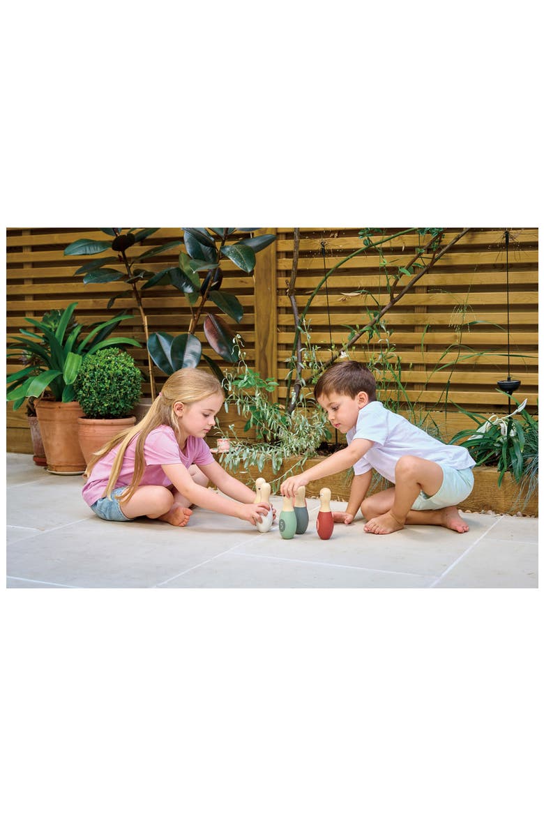 Birdie Skittles Wooden Bowling Game, Alternate, color, MULTI