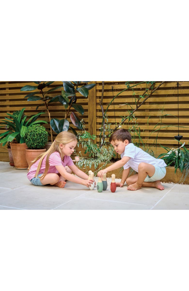 Tender Leaf Toys Birdie Skittles Wooden Bowling Game, Alternate, color, Multi