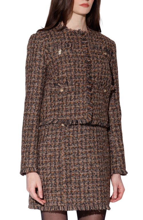 Walter Baker Tucker Tweed Jacket In Brown