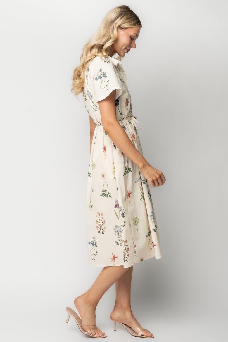 Marley Midi Dress, Alternate, color, Ivory + Multi Floral