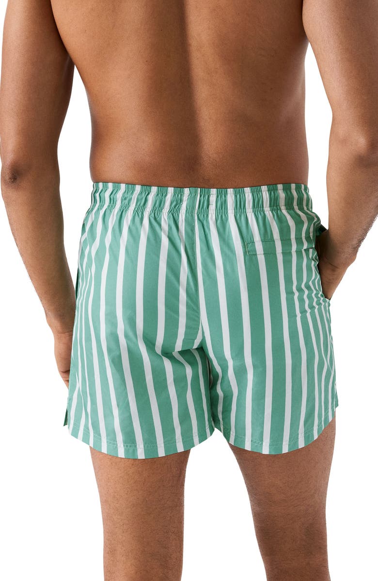 Eton Stripe Swim Trunks, Alternate, color,
