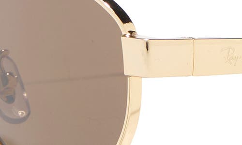 Ray Ban Ray-ban 55mm Oval Sunglasses In Neutral