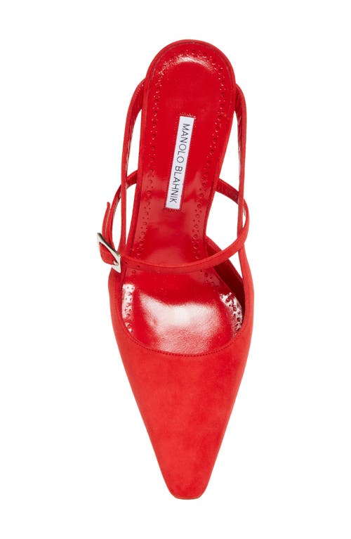 Manolo Blahnik Okos Pointed Toe Pump