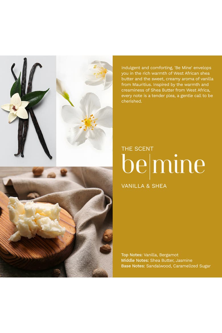 Vanilla & Shea Scented Candle, Alternate, color, No color