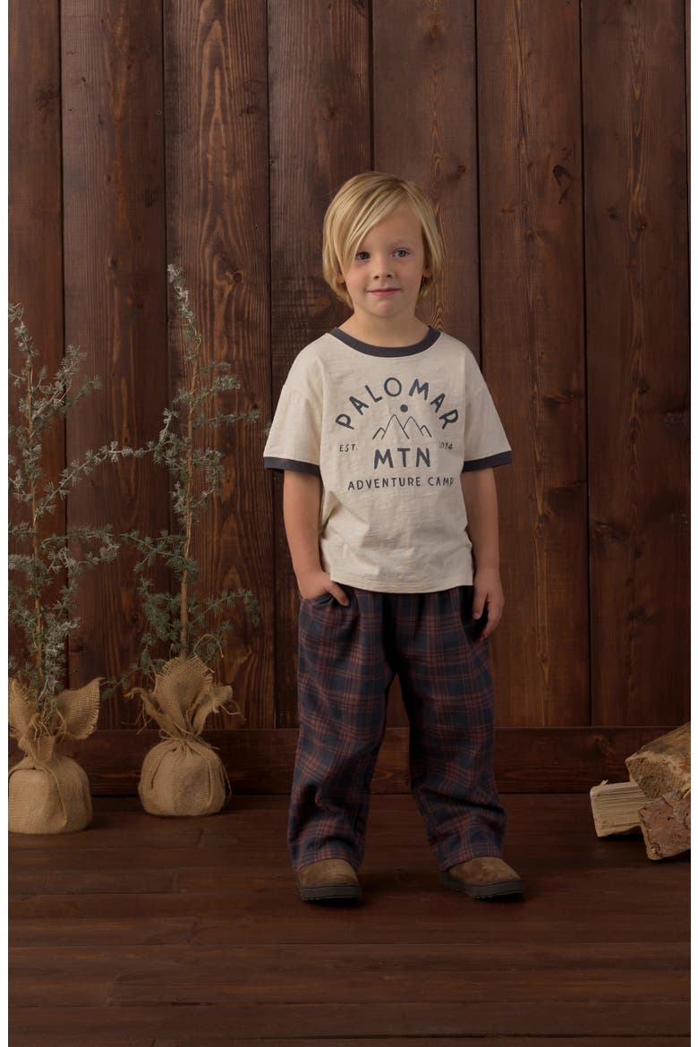 Palmer Plaid Cotton Pants, Alternate, color, MIDNIGHT