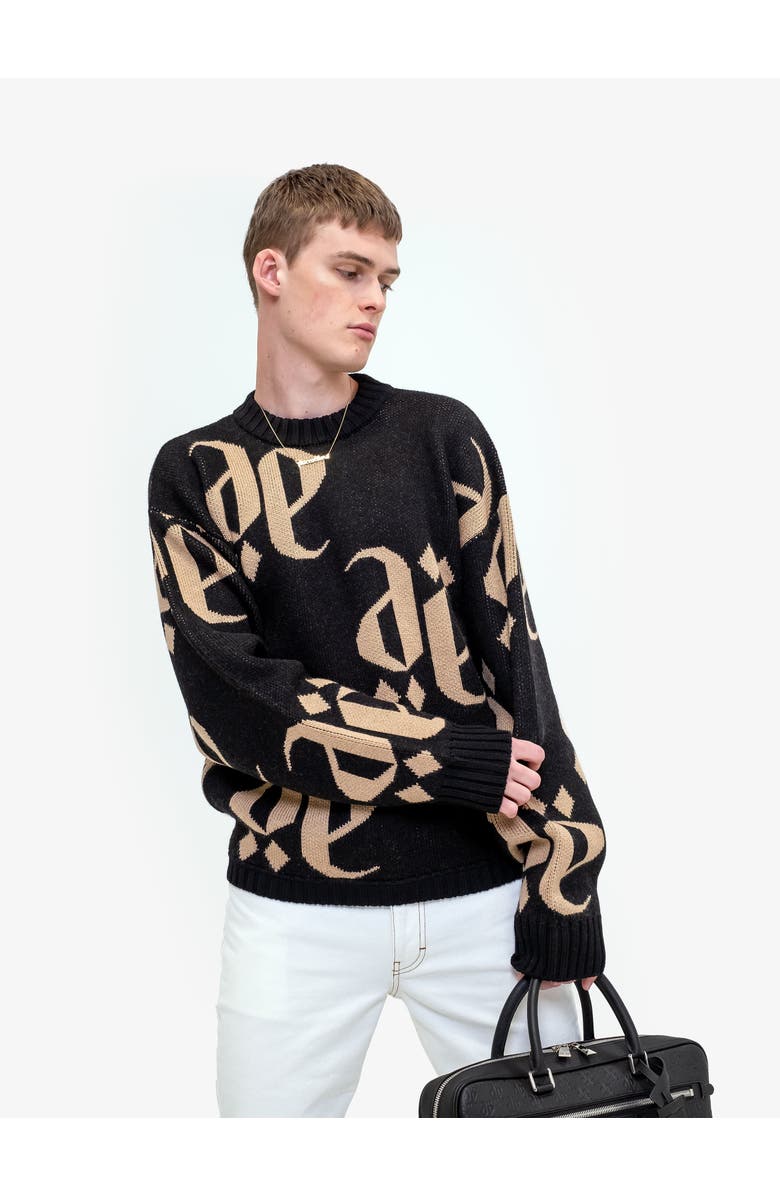 PLACE OF ELMS NERO CASTANO MONOLINK SWEATER, Alternate, color,