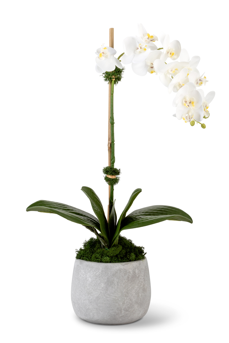 Wesley RealTouch Cement Orchid, Main, color, White