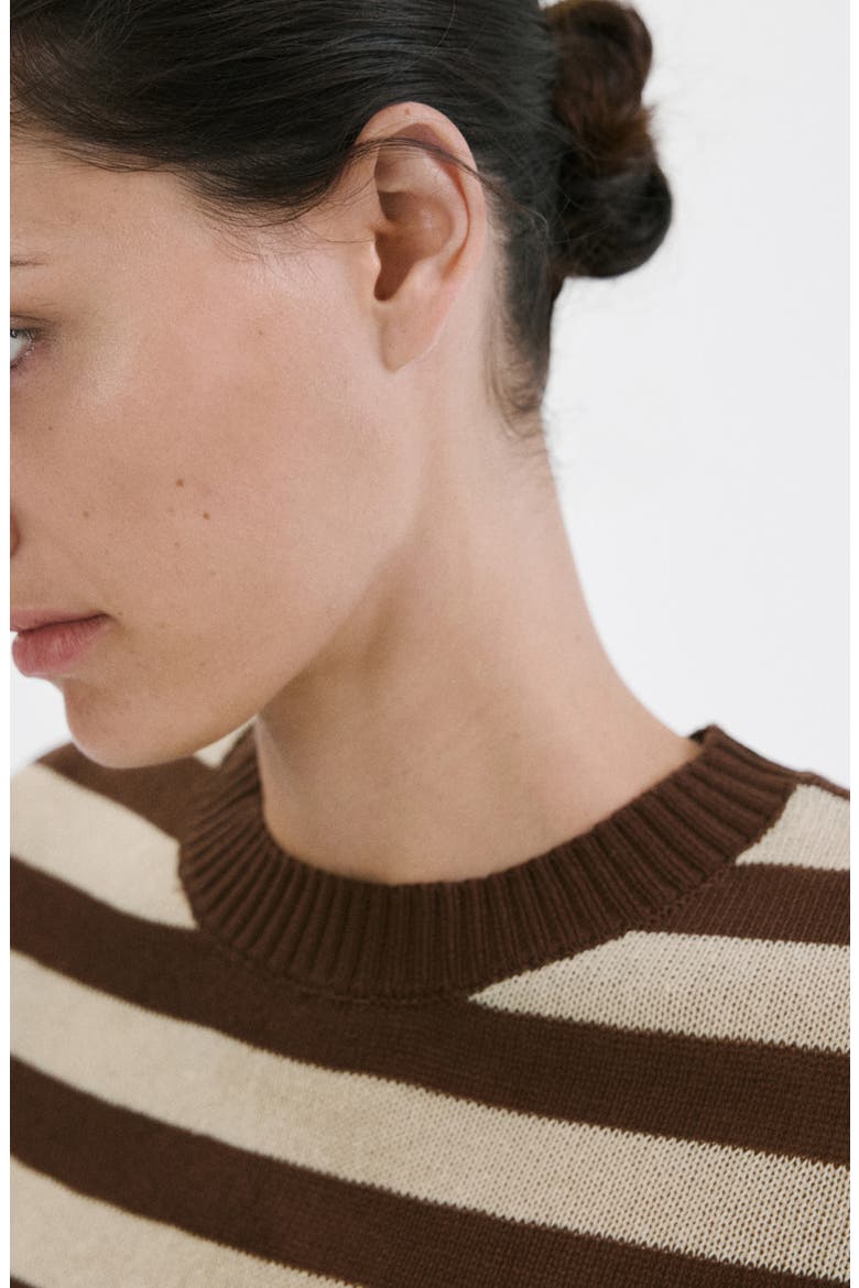 Stripe Crop Sweater, Alternate, color, CHOCOLATE