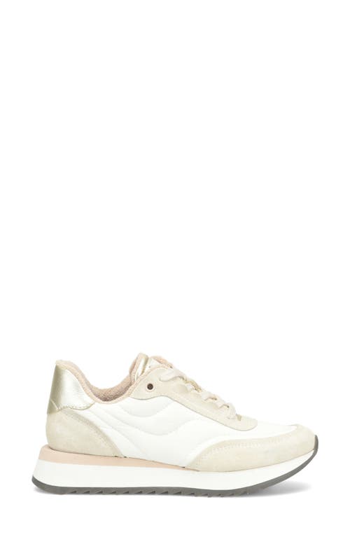 Söfft Jacklyn Sneaker In Multi