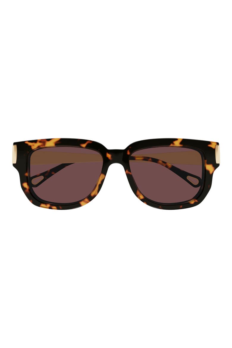 54mm Rectangular Sunglasses, Main, color, HAVANA