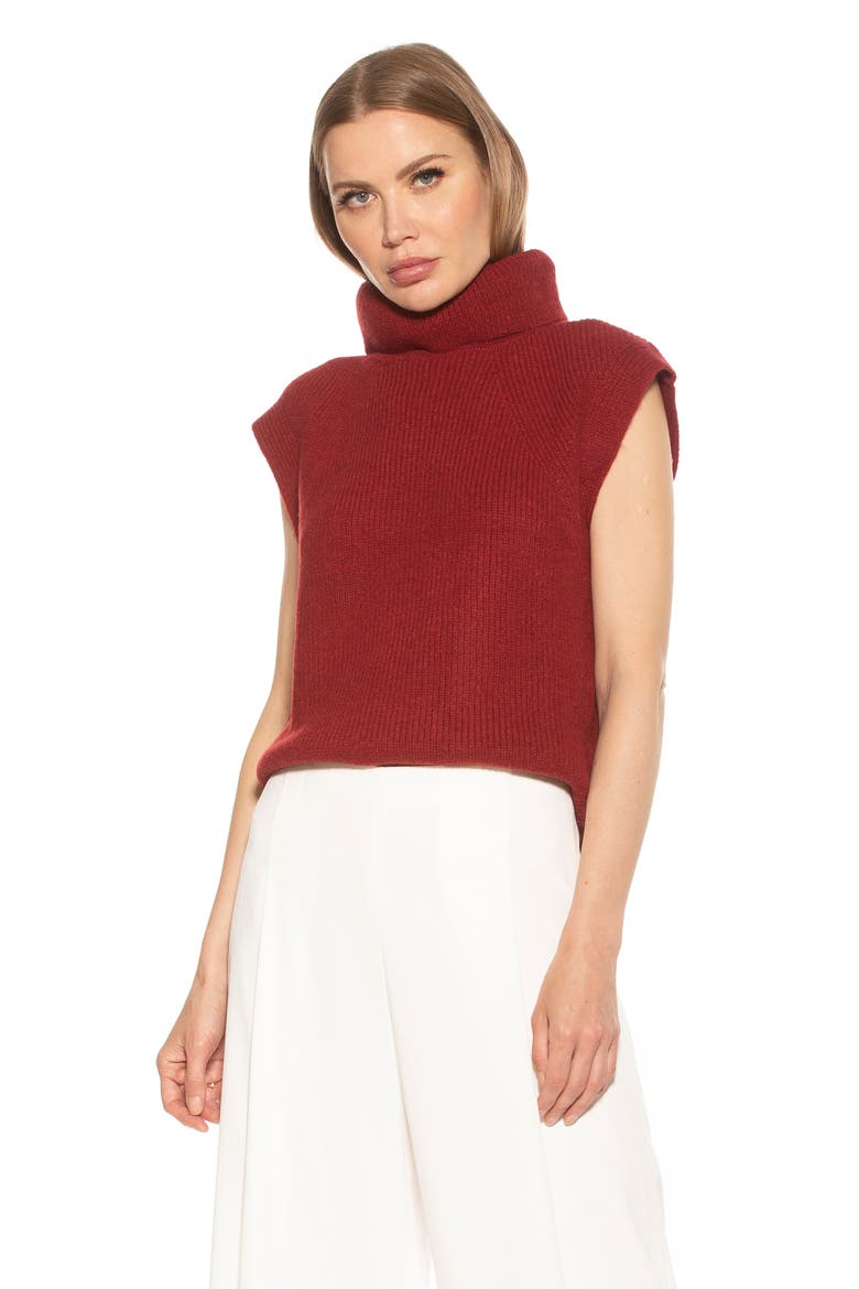 Jaylani Sleeveless Turtleneck Sweater, Alternate, color, BURGUNDY