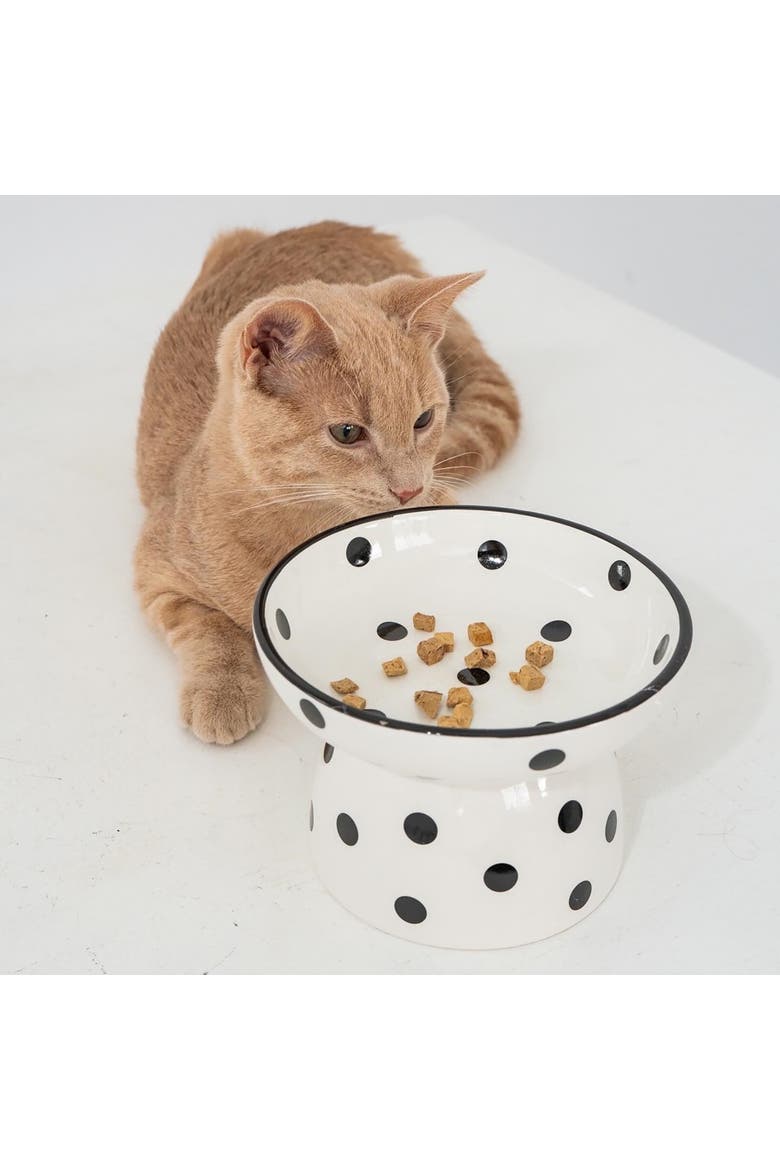 Elevated Ceramic Cat Bowl, White & Black Polka Dots, 8.7oz, Alternate, color, Multicolored
