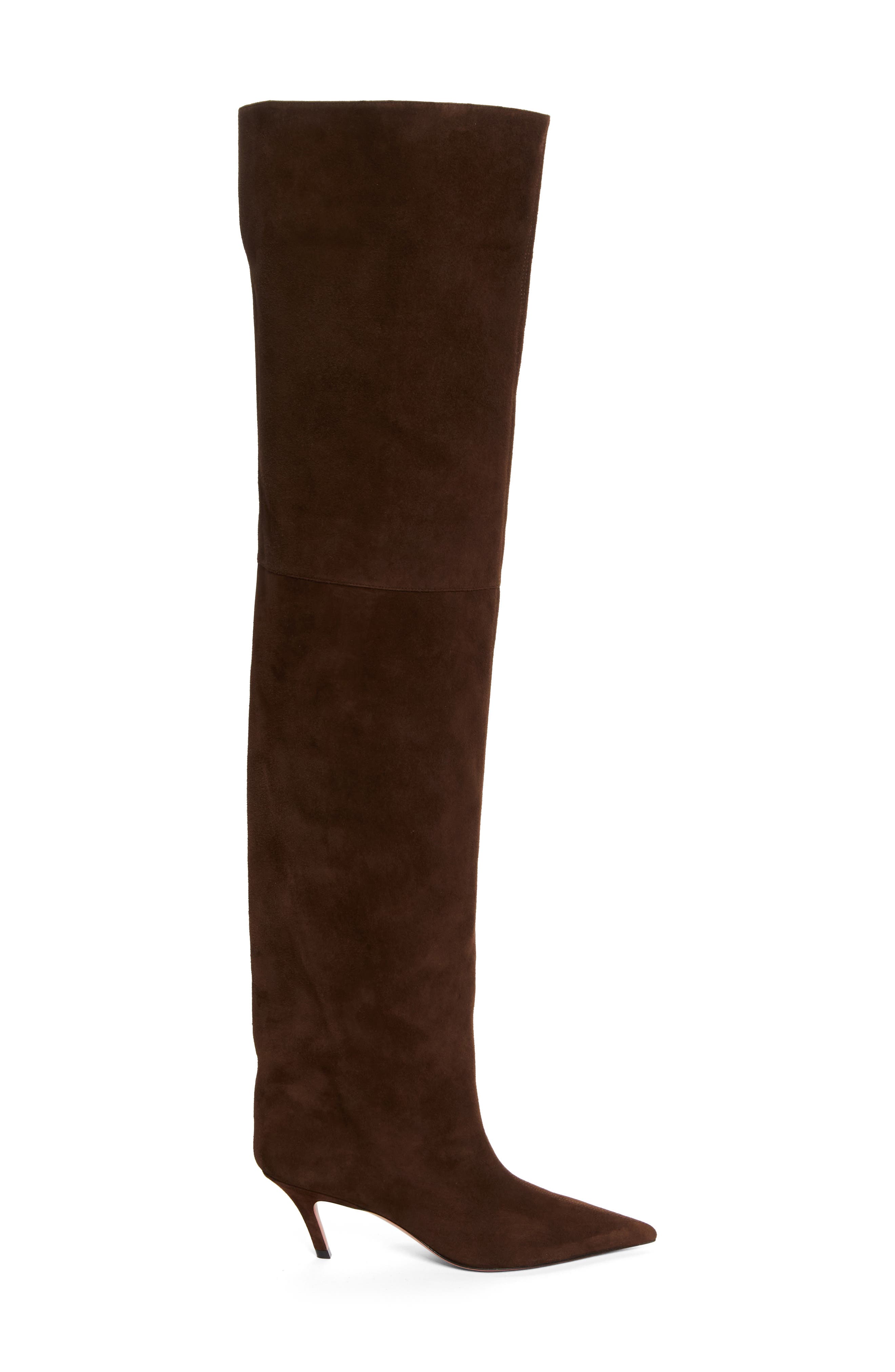 Amina Muaddi Fiona Pointed Toe Thigh High Boot, Alternate, color, 