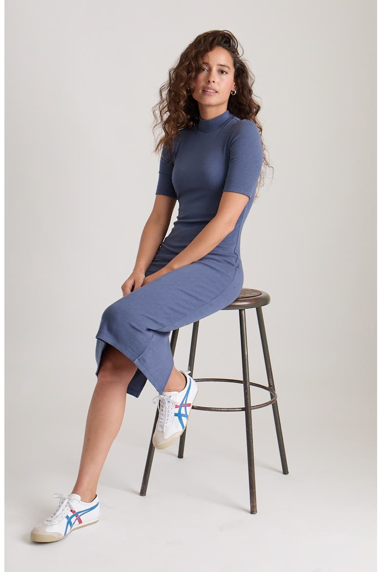 Lexi Mock Neck Rib Midi Dress, Alternate, color, INDIGO
