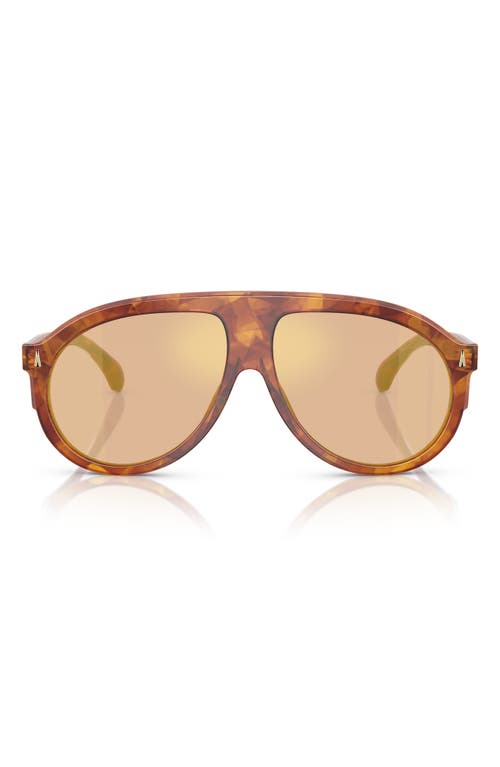 Moncler Unisex Sunglasses Me6001 Fhaite In Tortoise