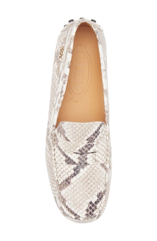Tod's Snake-effect Leather Driving Loafers In Gray