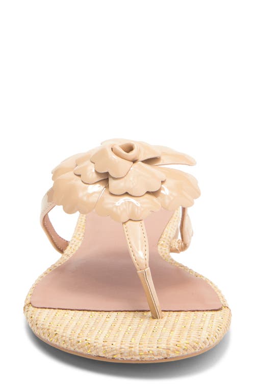 Linea Paolo Laurel Flower Sandal