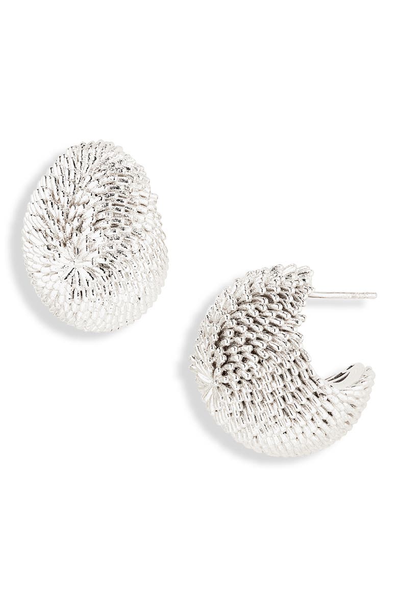 The Hérisson Earrings, Main, color, SILVER 980