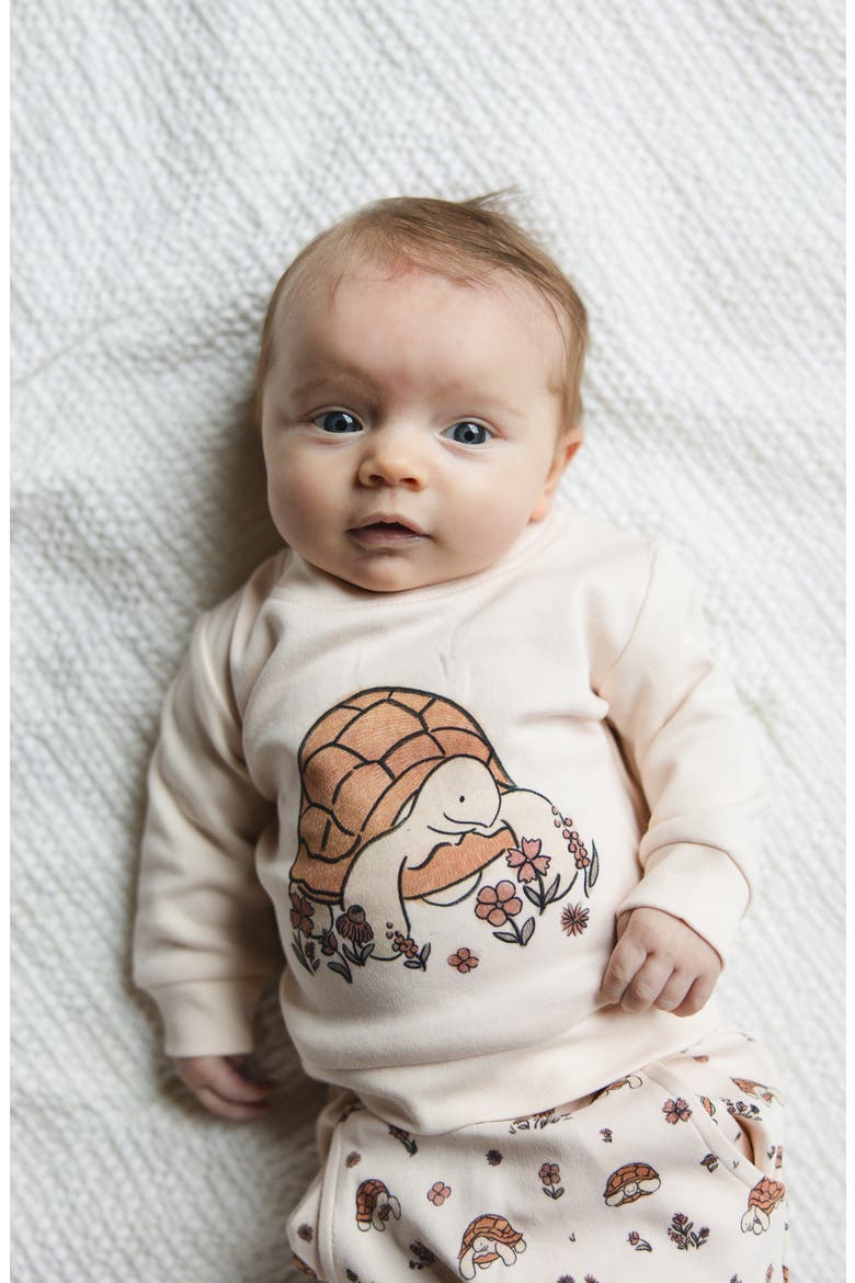 Organic Cotton Fleece Graphic Sweatshirt & Joggers Set, Alternate, color, TINY TORTOISE