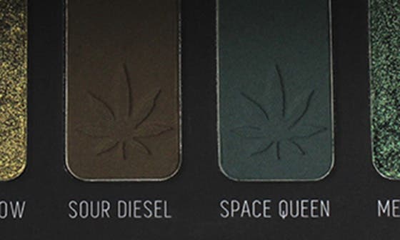selected SMOKE SESSIONS